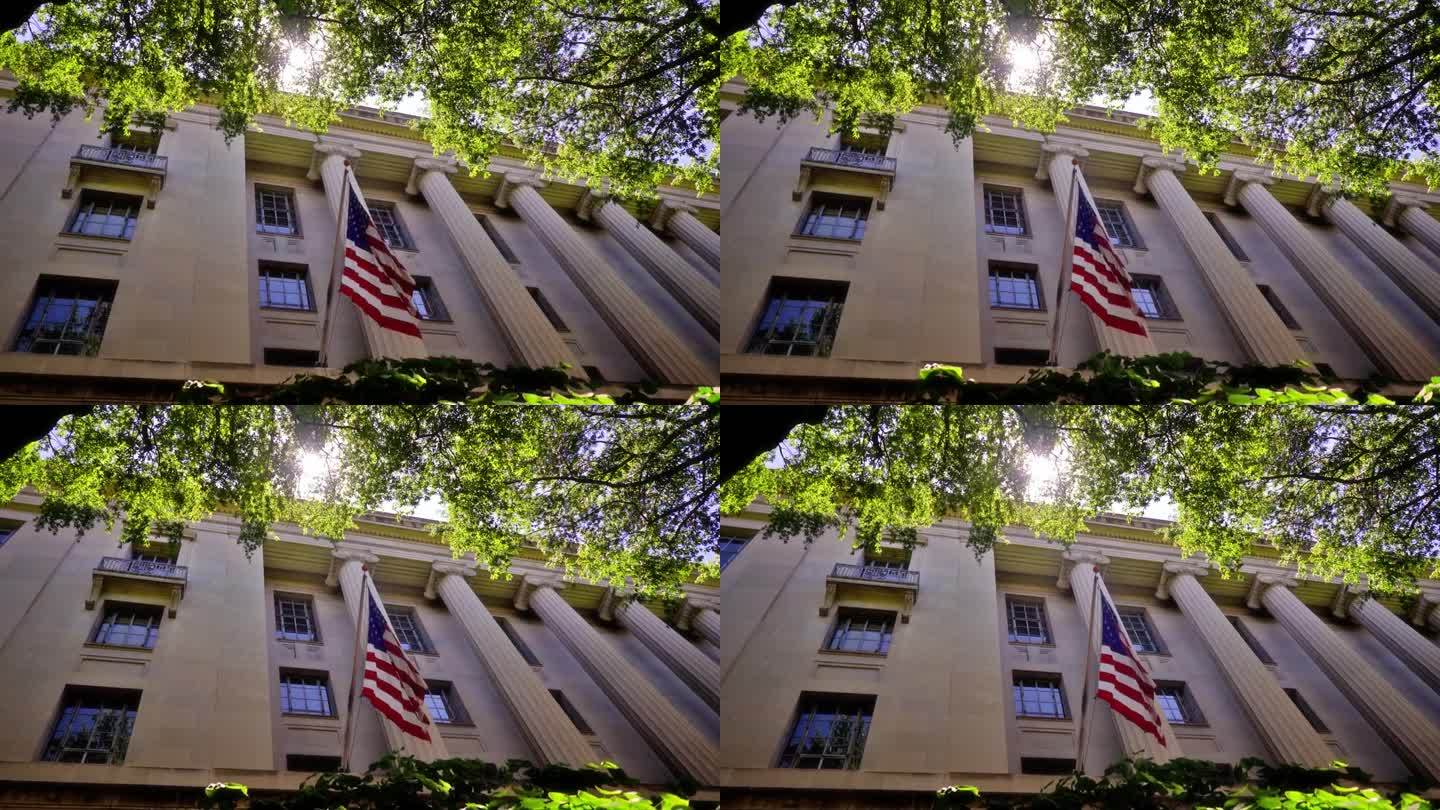 政府大楼。美国国旗。树。天空。