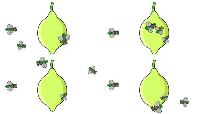 柠檬被苍蝇包围的动画