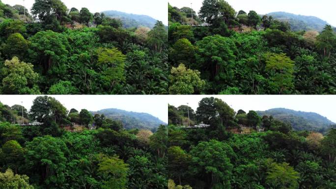 普吉岛的热带绿色自然概览，鸟瞰图，卡隆视角