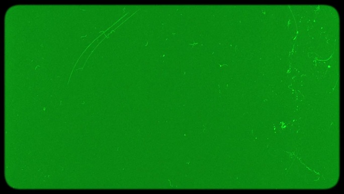复古电影效果。绿色的屏幕。阴极射线管效果与颗粒噪声，污垢和划痕。完美的叠加。