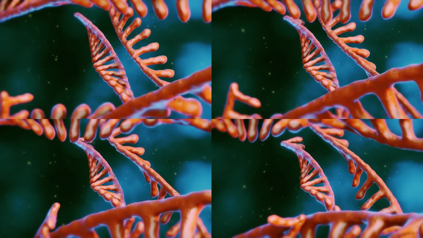 mRNA分子特效合成三维动画裸眼3D