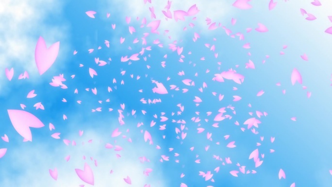 粉红色的樱桃花瓣从蓝天飘落，白云飘飘。日本的春天。