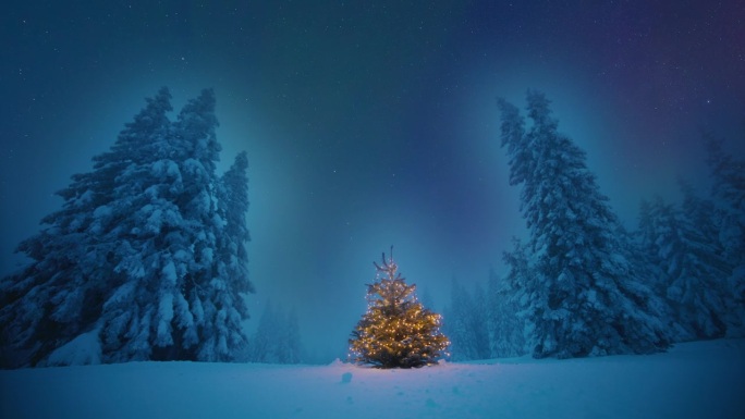 T/L在被北极光包围的白雪覆盖的田野中央，一棵装饰着圣诞彩灯的冷杉树