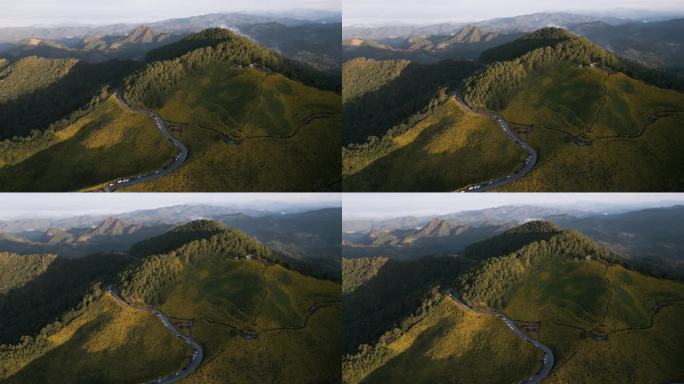 鸟瞰图:泰国湄丰顺省Doi Mae U-Kho山的万寿菊黄色花田