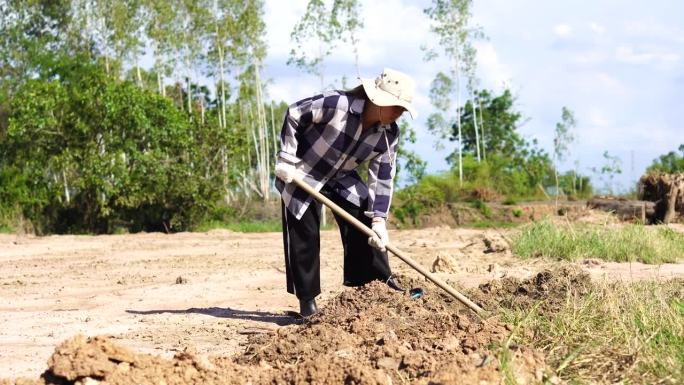 一名妇女正在挖洞，准备种树