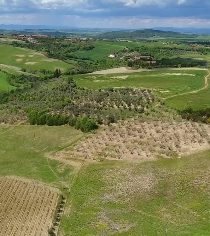 托斯卡纳空中景观与橄榄树，意大利