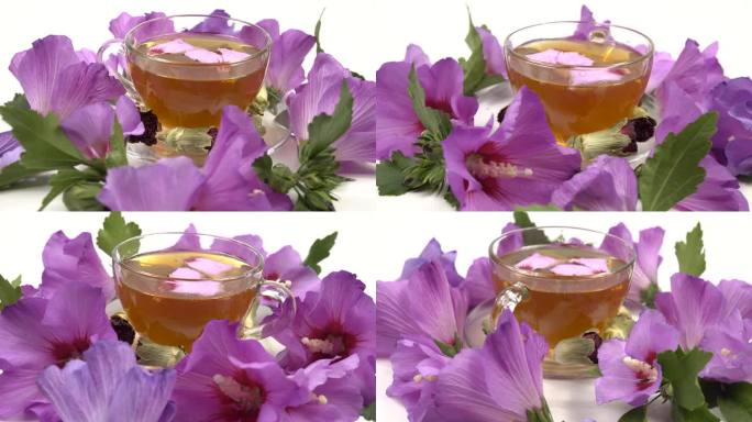 一杯干的新鲜紫蜀葵茶