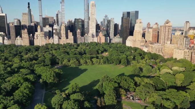 无人机拍摄的绵羊草地在中央公园，曼哈顿，美国纽约