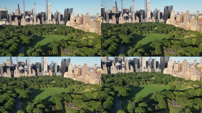 无人机拍摄的绵羊草地在中央公园，曼哈顿，美国纽约