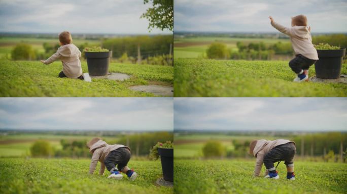 慢动作:可爱的小男孩在草地上跌倒和爬起来。15个月大的幼儿