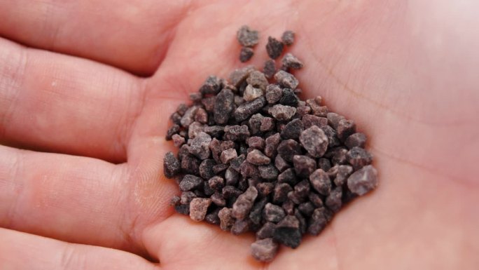 阿育吠陀黑色喜马拉雅盐与窑烧黑色晶体在手。近距离