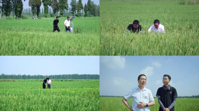 4K走在田间地头的农业科技员 农业专家