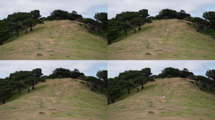 一个女人跑下一座绿色的高山