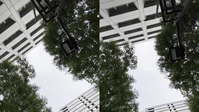 透过建筑物和树木仰望天空，转动镜头