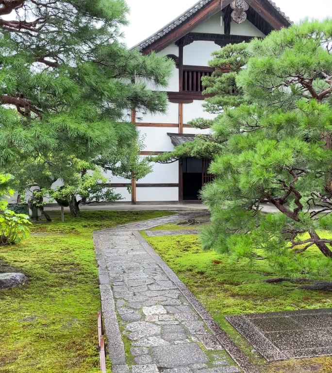 日式庭院雨落的画面
