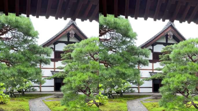 日式庭院雨落的画面