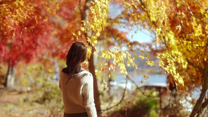 4K亚洲女人在秋天游览川口湖和富士山。