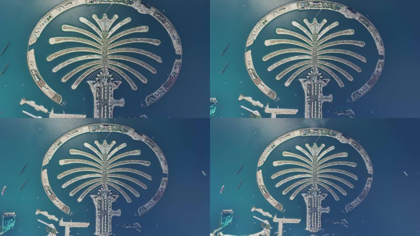 朱美拉棕榈岛的鸟瞰图。阿拉伯联合酋长国的迪拜。阿联酋