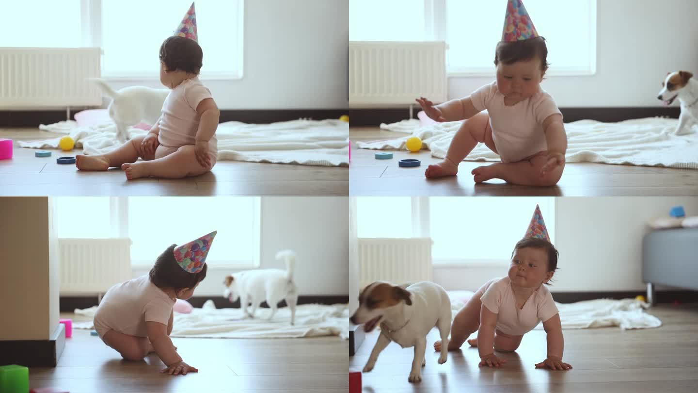 生日快乐宝贝。小女孩，孩子，蹒跚学步的孩子坐在家里的地板上，和小狗玩，在地板上爬。