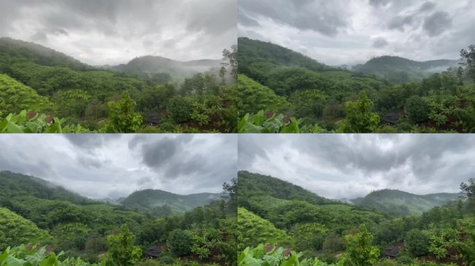 雨后多雾的山景。