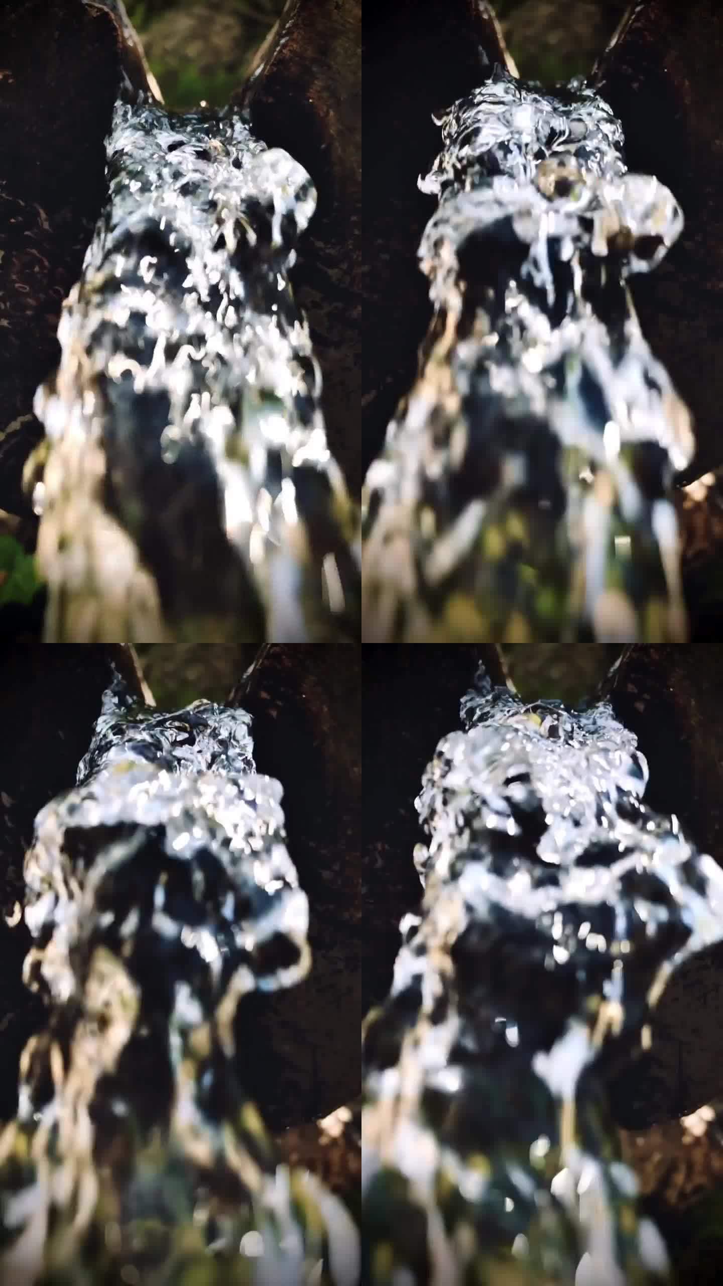水流从一个天然的木管流向相机