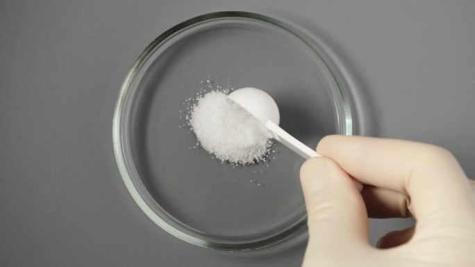 用测量勺在培养皿中取出一水葡萄糖粉末样品。d -葡萄糖或葡萄糖。天然甜味剂，代糖