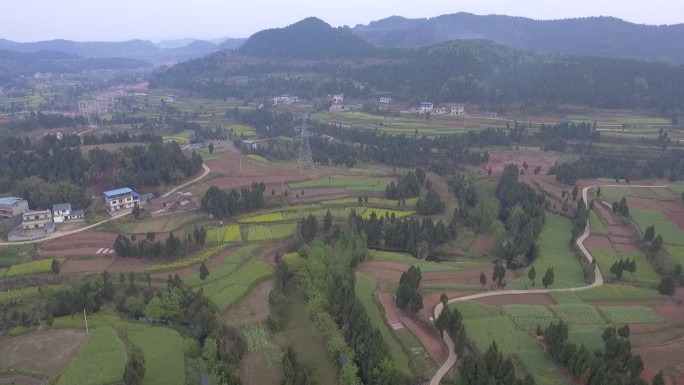 无人机拍摄的德阳村画面