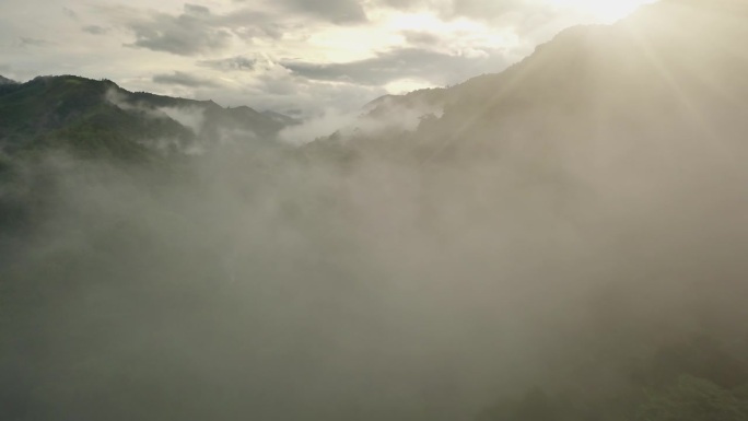 郁郁葱葱的绿色雨林山鸟瞰图