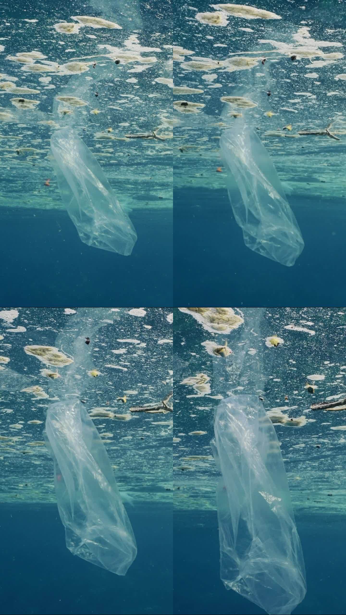 海洋表面脂肪层中漂浮的塑料碎片近景