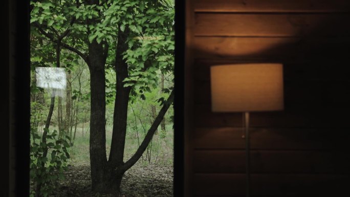 从小木屋的窗户看出去，绿色的森林，靠近木墙的暖光开关灯，背景。紧闭的窗户俯瞰着绿色的花园，慢镜头。