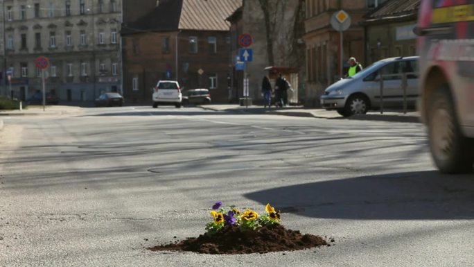 花栽在街上的一个洞里