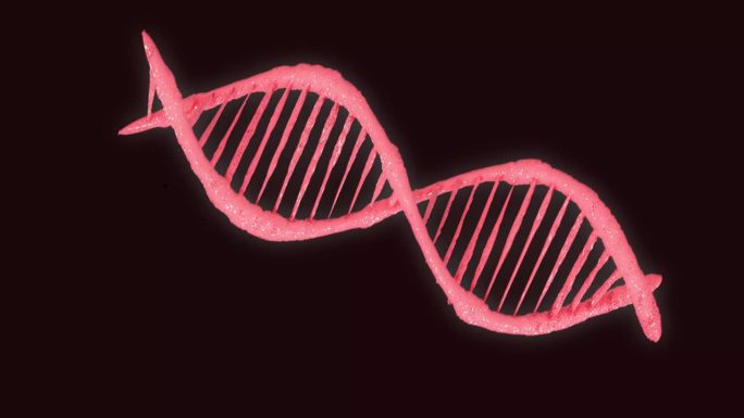 DNA结构动画视频，抽象背景。DNA支架，DNA螺旋模型在黑色背景上分离。3d渲染和4k高清视频