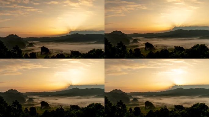 雾树雾林是热带雨林中的一种风景。晨光里的雾雾绿色自然山谷。雾景树自然在常绿美丽的热带景观户外