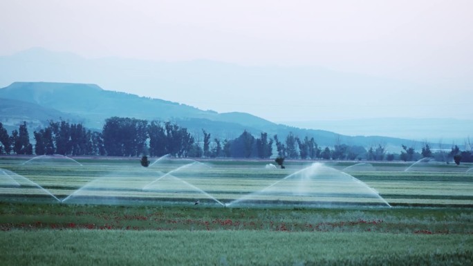 灌溉农田的灌溉支点