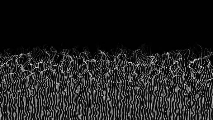 宇宙摇摆的线条。水下的白色未来藻类。抽象波浪移动草像头发在黑色背景。60 fps 3D动画
