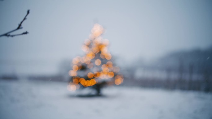 雪花落在一棵散焦/聚焦的圣诞树上