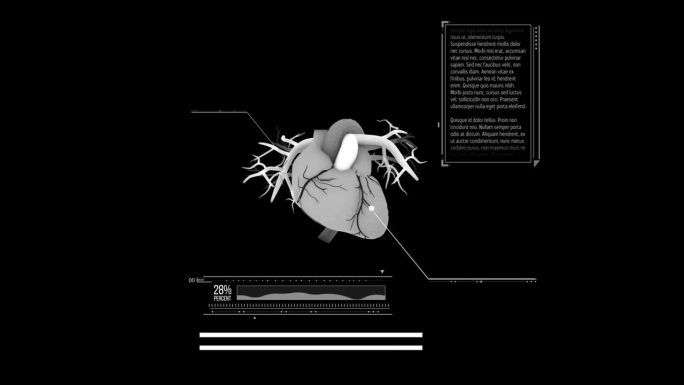 解剖正确的数字人类心脏无缝循环。未来粒子心脏计算机断层扫描与旋转循环3D渲染。MRI的未来，疾病，健