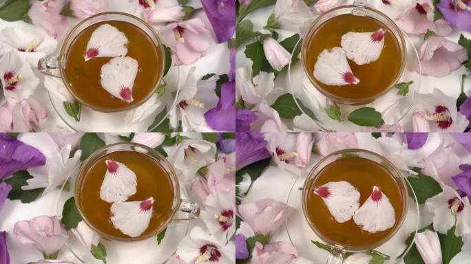 一杯用干的和新鲜的白蜀葵花调制的蜀葵茶