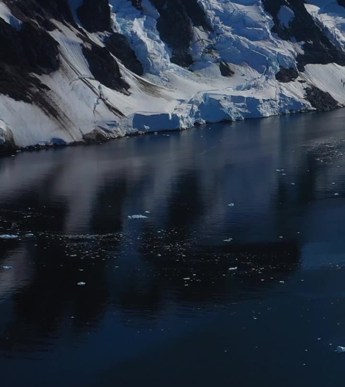 垂直视频灾难并没有破坏南极洲迷人的野生自然。