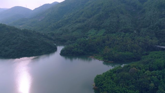 中山田心森林公园航拍