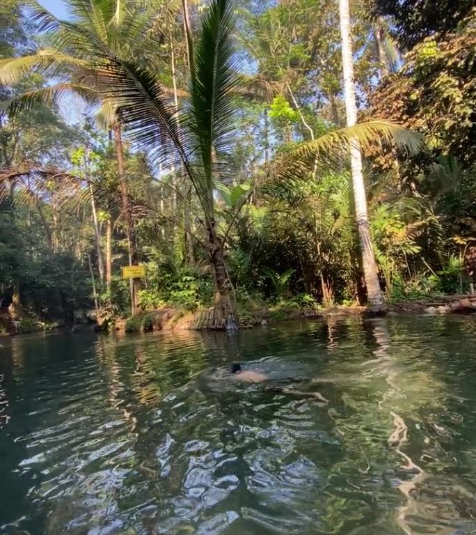 人们在由河流泉水形成的森林中央的天然水池中游泳。