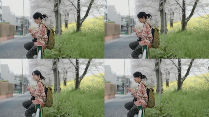 快乐的亚洲妇女用手机向家人发送樱花树的照片。