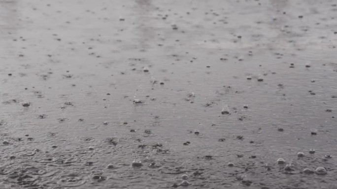 掉进了柏油路上的大水坑，淹没了街道。雨季大雨导致道路淹水。雨滴落在路上