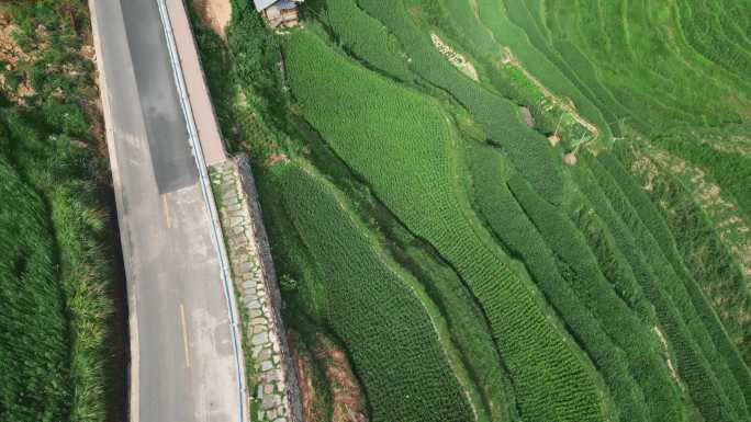 贵州加榜梯田风光