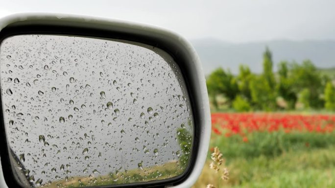 雨滴落在一辆停在户外的汽车的后视镜上，背景是一片模糊的红花草坪。雨水溅在汽车后视镜上