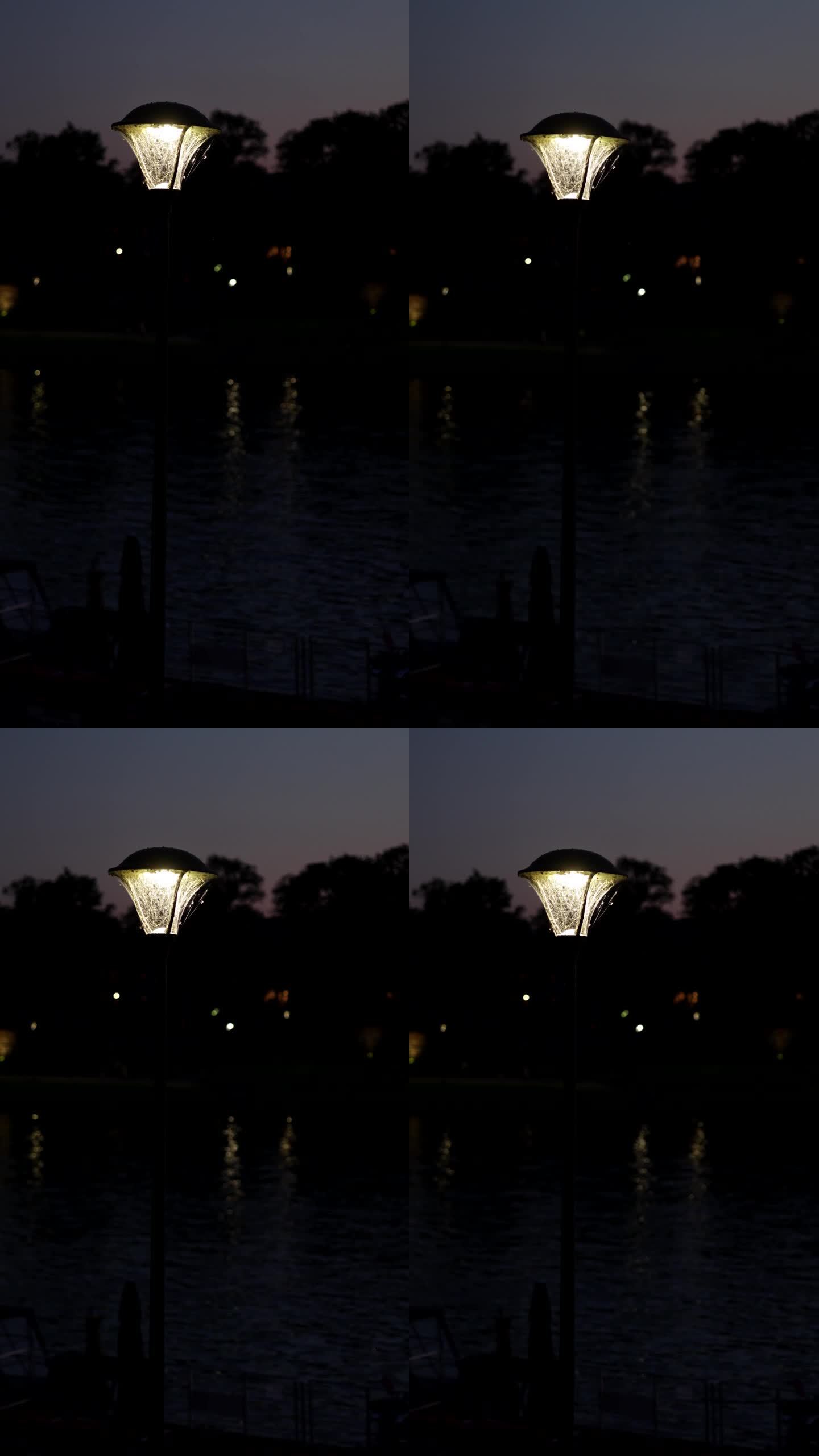 灯笼、河、夜、灯