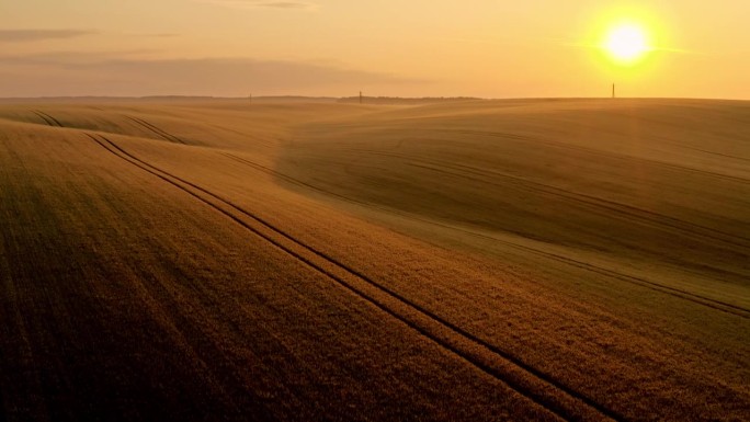 空中无人机拍摄的日出时橙色天空下连绵起伏的麦田
