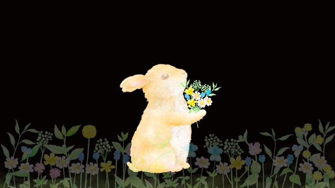 当一只小兔子送出一束野花时，一片五颜六色的鲜花遍地开花。