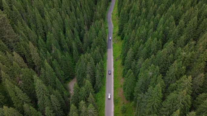 鸟瞰图飞越旧补丁双车道森林道路与汽车移动。两边都是茂密的绿树。车队沿着森林道路行驶。开车穿过松林。