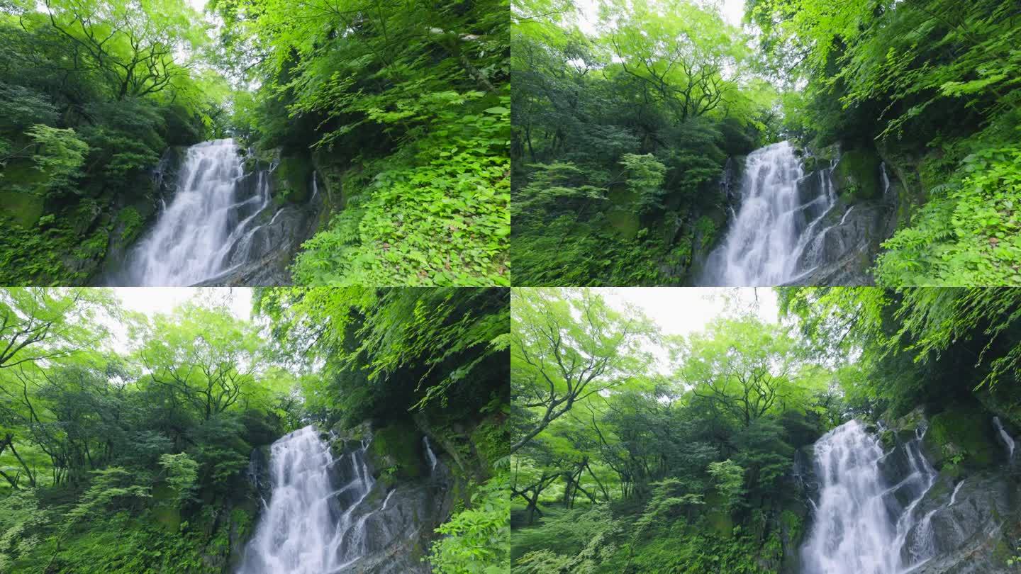 福冈县的负离子瀑布(伊德岛白东瀑布)